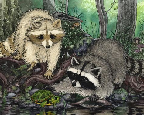 painting of a regular and cinnamon raccoon | Raccoon art, Raccoon ...