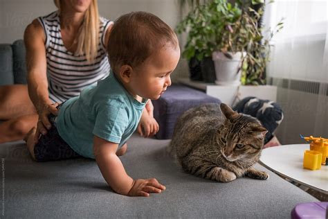 "Baby Making Friends With Cat" by Stocksy Contributor "Aleksandra ...