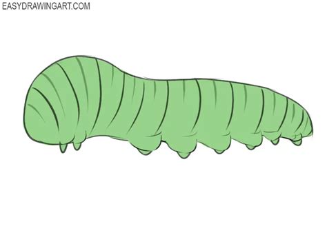 How to Draw a Caterpillar - Easy Drawing Art