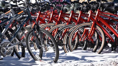 Snow Rental Bikes Free Stock Photo - Public Domain Pictures