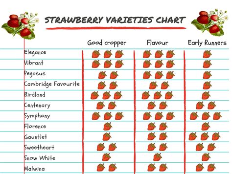 Which Strawberry is the best? 12 Varieties in Quick Review | Gardens ...