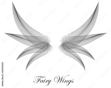 Black Gothic Wings - Dark Evil Magic Fairy Wings - Concept Vector ...