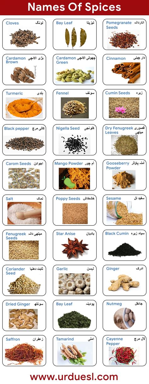 List Of Spices In English And Urdu With Pictures - Download Pdf