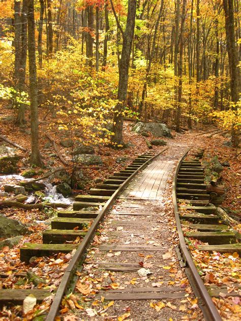 Pin by Jeanette Holland on Virginia in the Fall | Abandoned train ...