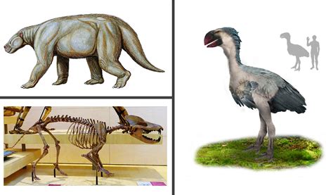 Episode 103 – The Paleocene-Eocene Thermal Maximum – COMMON DESCENT