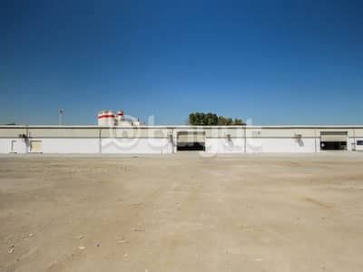 Warehouses for Rent in Jebel Ali Industrial Area | Bayut.com