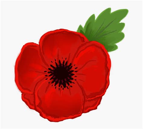 Poppy Clipart - Anzac Poppy Flower Drawing, HD Png Download ...