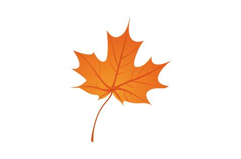 Single Autumn Leaf Vector Illustration Graphic by K for Kreative ...