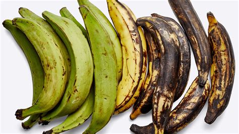 Maya’s Platanos (Fried Sweet Plantains) – Gusto Journal