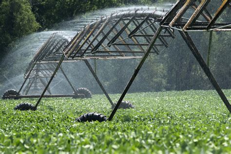 Inefficient irrigation systems may cost producers as much as $100 per ...