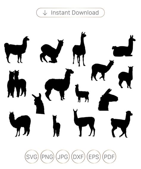 Llama Svg Llama Silhouette Alpaca Svg Llama Vector Llama - Etsy