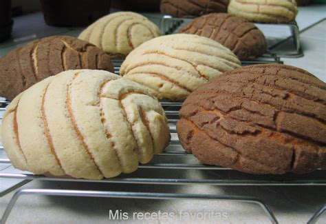 Mis recetas favoritas by Hilmar: Conchas~el pan dulce mexicano