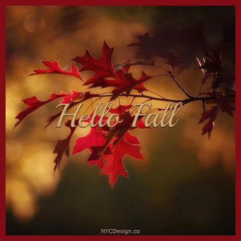 Hello Fall Images, Captions & Quotes – NYCDesign.co: Printable Things