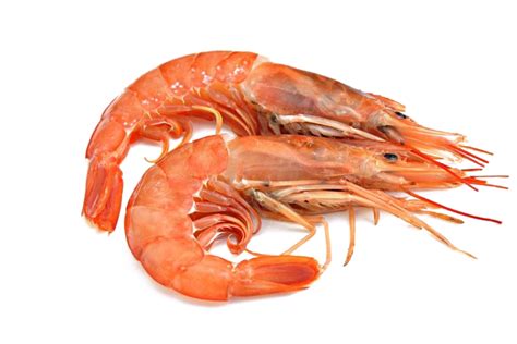 Shrimp PNG Images Transparent Background | PNG Play