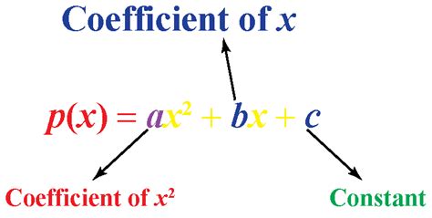 Zeros of Quadratic Polynomial | Graph & Calculator - Cuemath