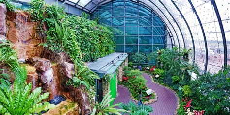 Singapore Changi Airport Butterfly Garden - Photo Tour • Point Me to ...