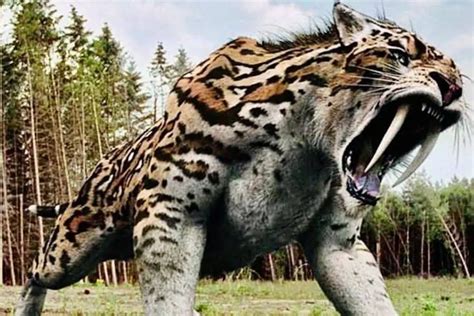 5 Incredible Ice Age Mammals Who Ruled Before Us - Procaffenation