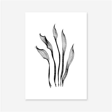 Abstract black and white flower leaf like brush strokes minimalist art ...