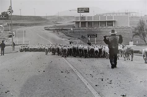 Conejo Valley History