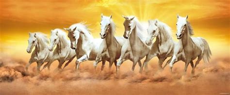 for luck running seven white horses Canvas Picture Print 30"x16 ...