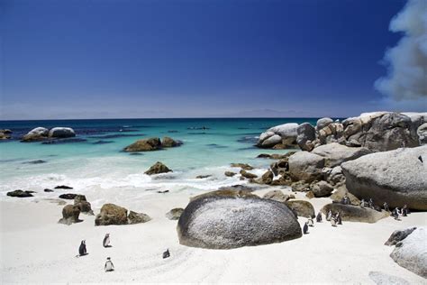 Boulders Beach - Bezienswaardigheden Zuid-Afrika