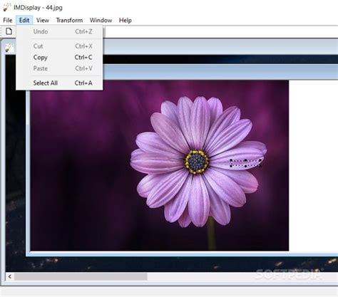 ImageMagick 7.1.0-5 - Download, Review, Screenshots