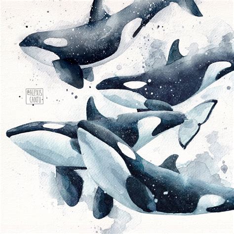 30 Whale Watercolor Painting Ideas