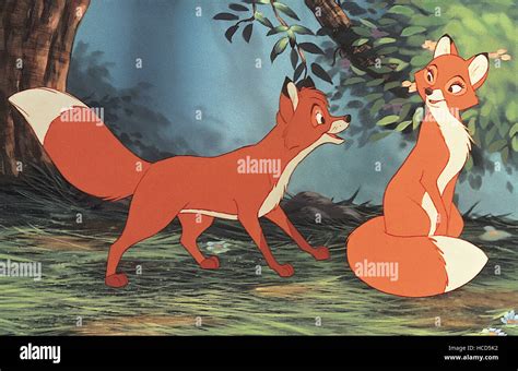 THE FOX AND THE HOUND, Tod, Vixey, 1981, ©Walt Disney Pictures/courtesy ...