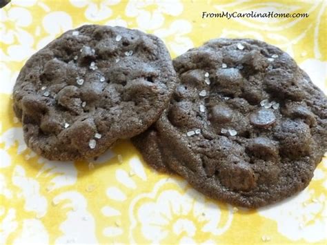 Double Chocolate Delight Cookies – From My Carolina Home