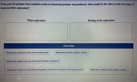 Answered: If the gene for primase were mutated so… | bartleby