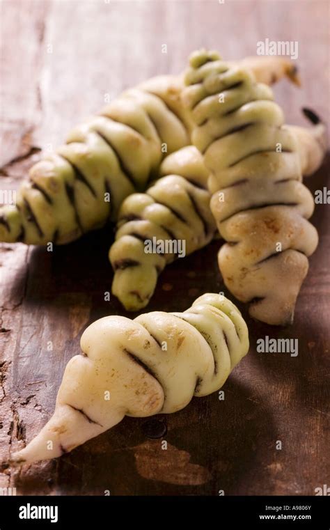 Four oca tubers Oxalis tuberosa FoodCollection Stock Photo - Alamy