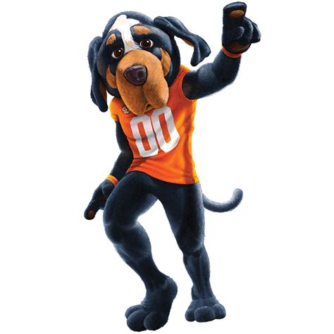 Tennessee Volunteers - Smokey X - College Wall Art