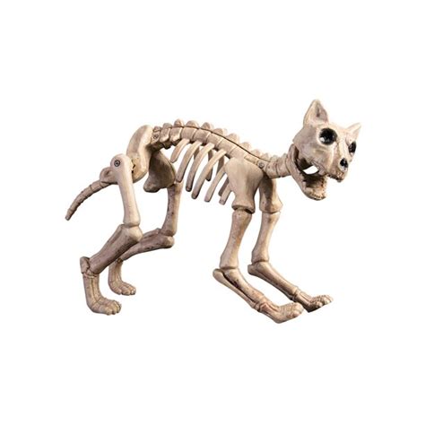 Skeleton Cat Halloween Decoration - Walmart.com - Walmart.com