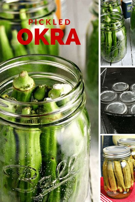 Homemade Pickled Okra Recipe | Recipe | Pickled okra, Okra recipes, Okra