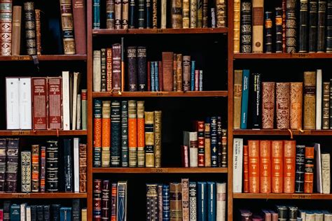 Best 500+ Library Pictures [HD] | Download Free Images on Unsplash