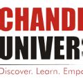 Why should Chandigarh University have a Logo Design Course ...