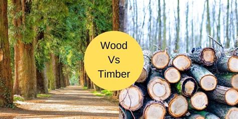 Difference Between Wood And Timber | What is Lumber? - Civil Lead