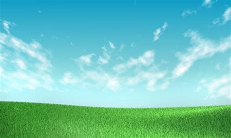 Sky and Grass Wallpapers - Top Free Sky and Grass Backgrounds ...