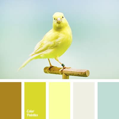 canary color | Color Palette Ideas