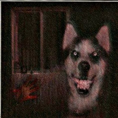 Smile Dog | Wiki Creepypasta | FANDOM powered by Wikia