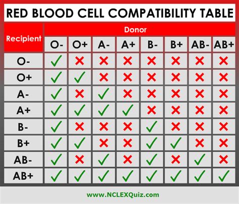 Red Blood Cell Chart