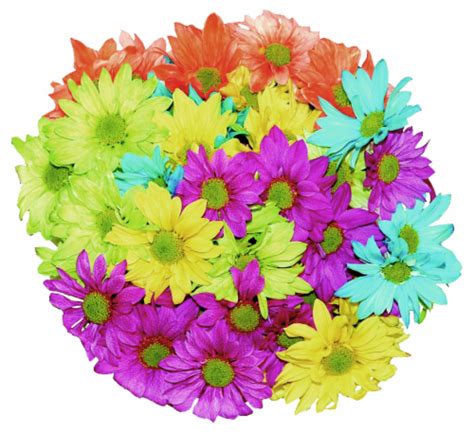 Does Kroger Floral Delivery / Bouquets In Floral Department Kroger ...