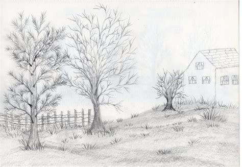 Hand drawn landscape trees - Free Stock Photo by rudy liggett on ...