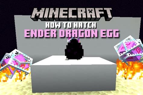 Minecraft Dragon Egg Hatch