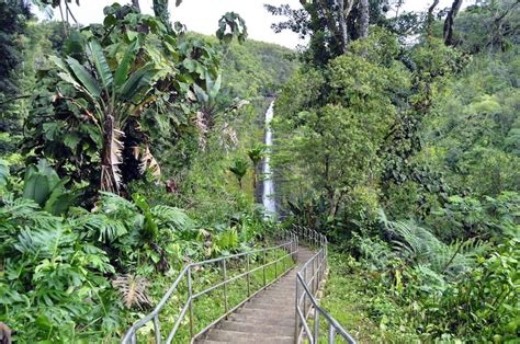 How to Visit Gorgeous Akaka Falls State Park (+ Map)