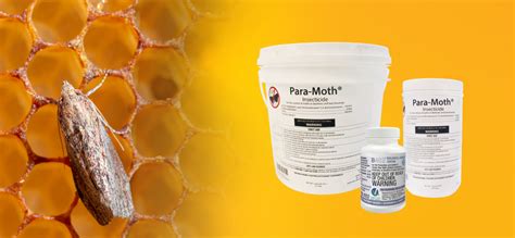 Wax Moth, a Beekeeping Pest - Mann Lake Bee & Ag Supply