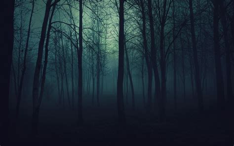 Dark Winter Forest Background Hd - Enjoy and share your favorite ...