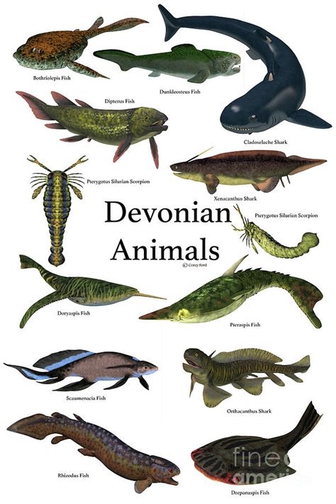 Devonian Animals - Devonian Fish Sidesteps Current Evolutionary Theory ...