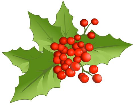 Clipart Mistletoe - Cliparts.co