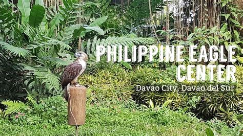 Philippine Eagle Center